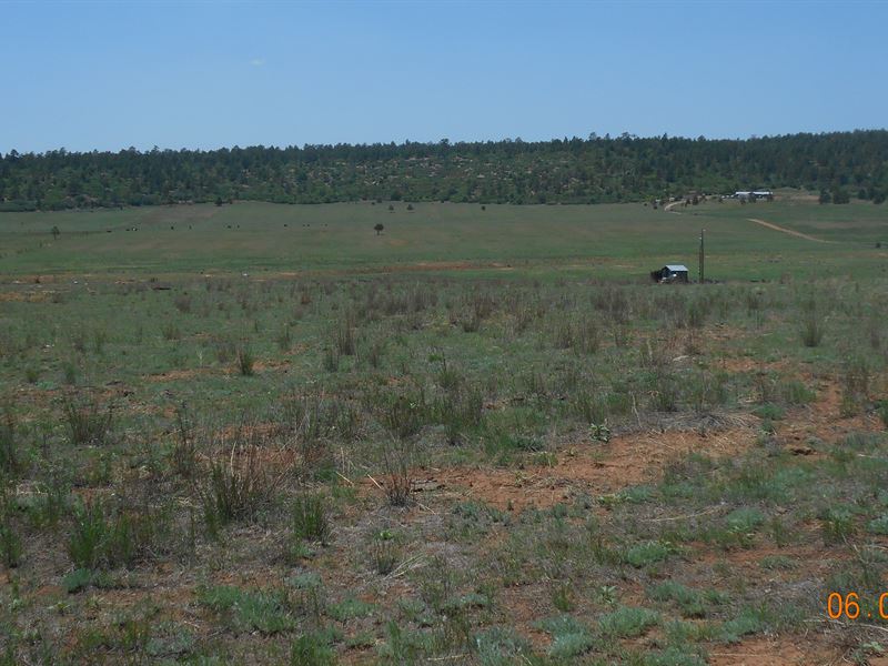 Scenic Mountain Ranch : Ojo Feliz : Mora County : New Mexico