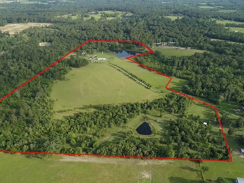 Nu Way Ranch : Montgomery : Montgomery County : Texas