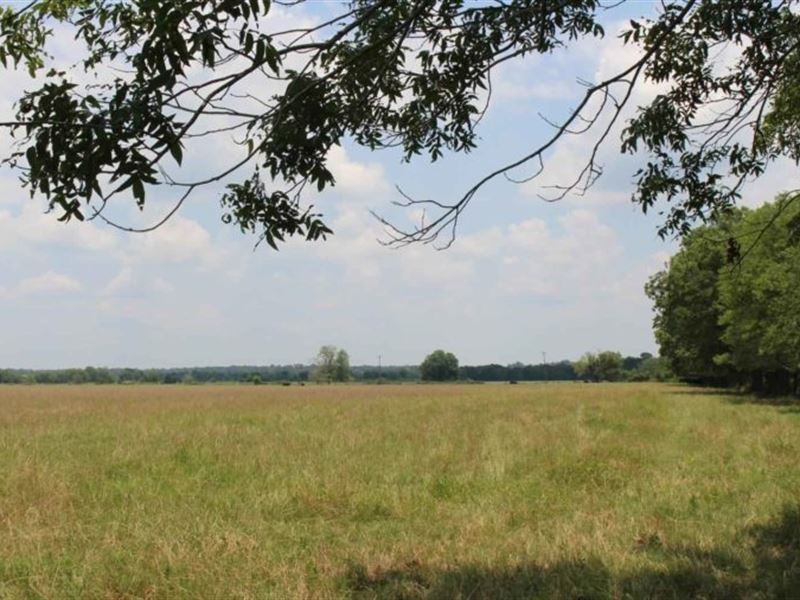 Maples Ranch : Crockett : Houston County : Texas
