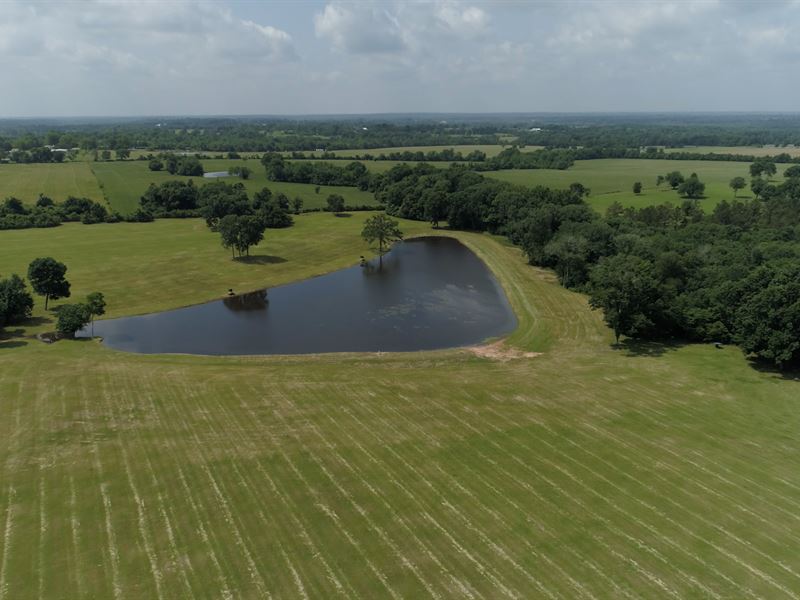LA Hacienda Ranch : Montgomery : Montgomery County : Texas