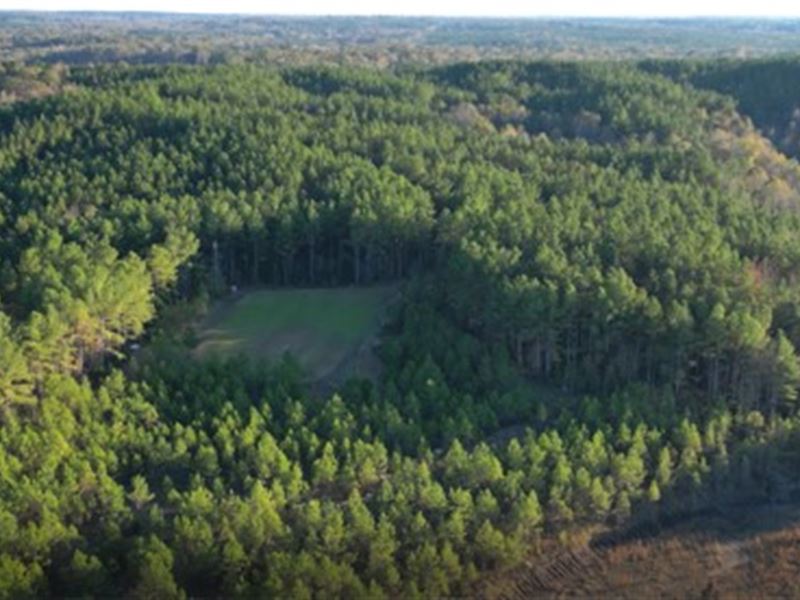 187 Acres in Holmes County in Lexin : Lexington : Holmes County : Mississippi
