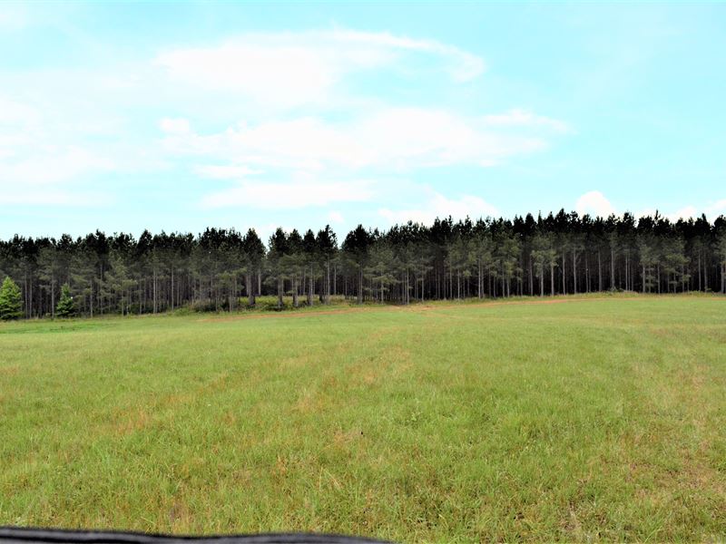 Grandma's Farm : Abbeville : Abbeville County : South Carolina