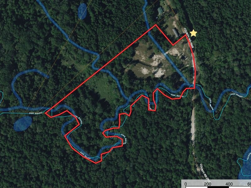 Build Country Retreat on 12.6 Acres : Shelbyville : Shelby County : Texas