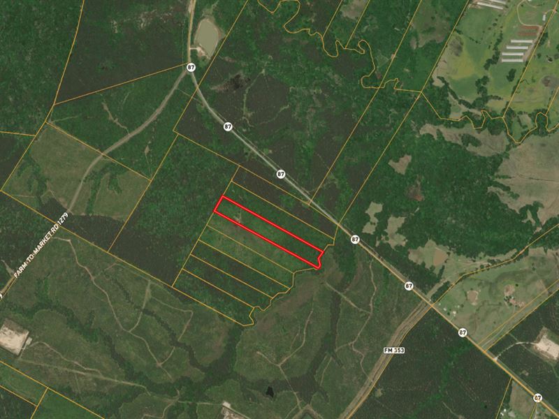 14.75 Acres Near Sabine Nat. Forest : Shelbyville : Shelby County : Texas