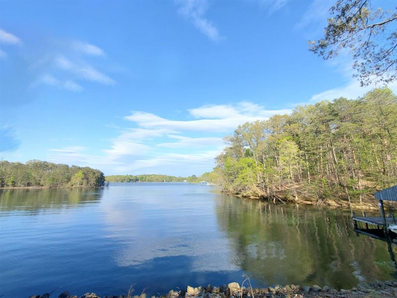 Amazing Find on Smith Mountain Lake : Moneta : Franklin County : Virginia