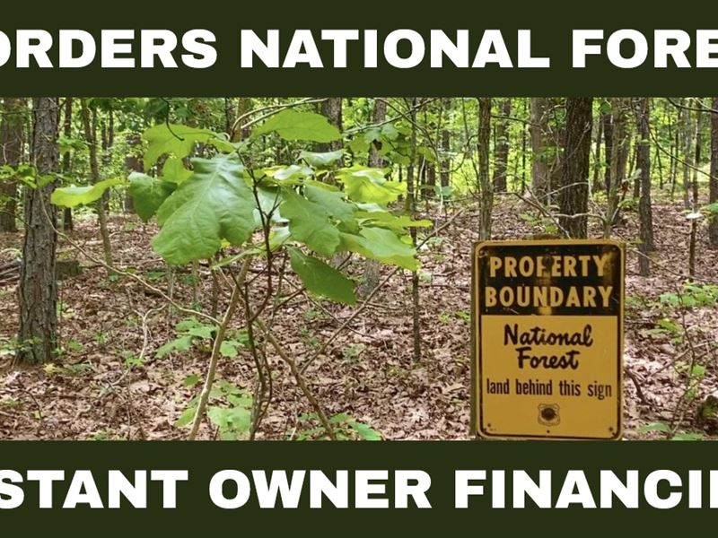 Owner Financed Tract On Ntl Forest : Rolla : Dent County : Missouri