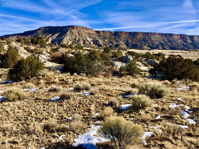 Bear Spring Land, Elk & Cattle : Grants : McKinley County : New Mexico