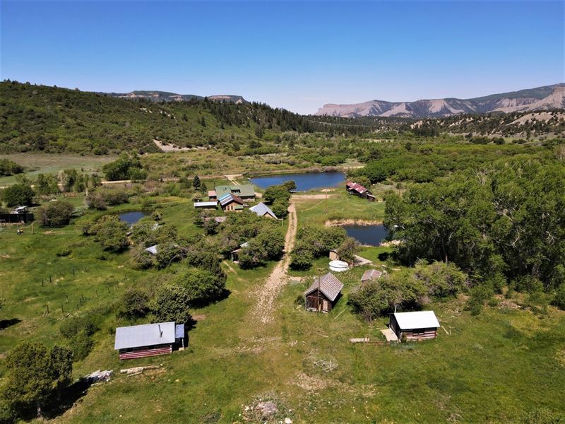 Buckhorn Lodge : Redvale : Dolores County : Colorado