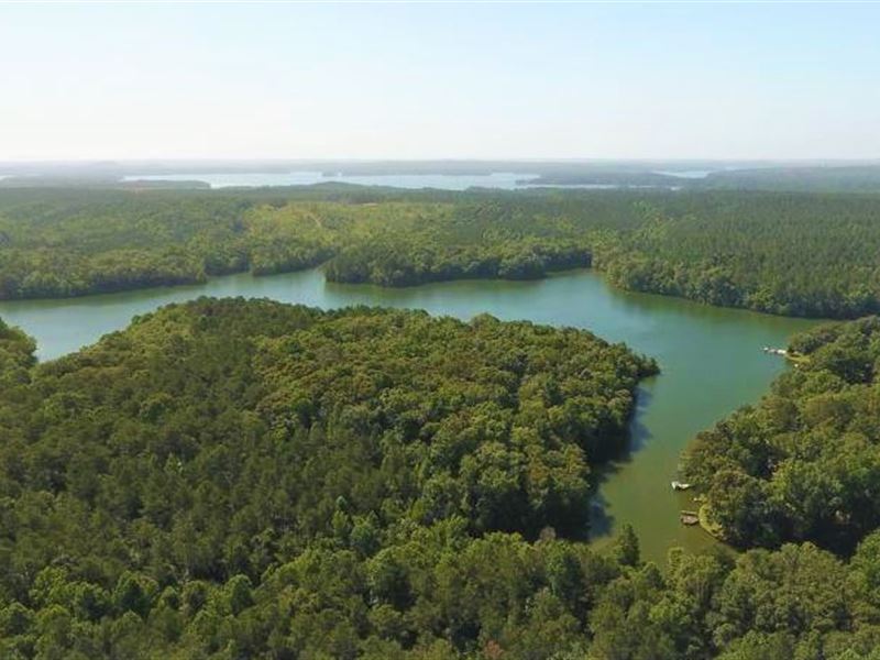 210 Acres on Lake Martin : Alexander City : Tallapoosa County : Alabama