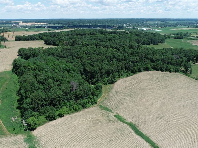 149 Acres Trempealeau County, WI : Blair : Trempealeau County : Wisconsin
