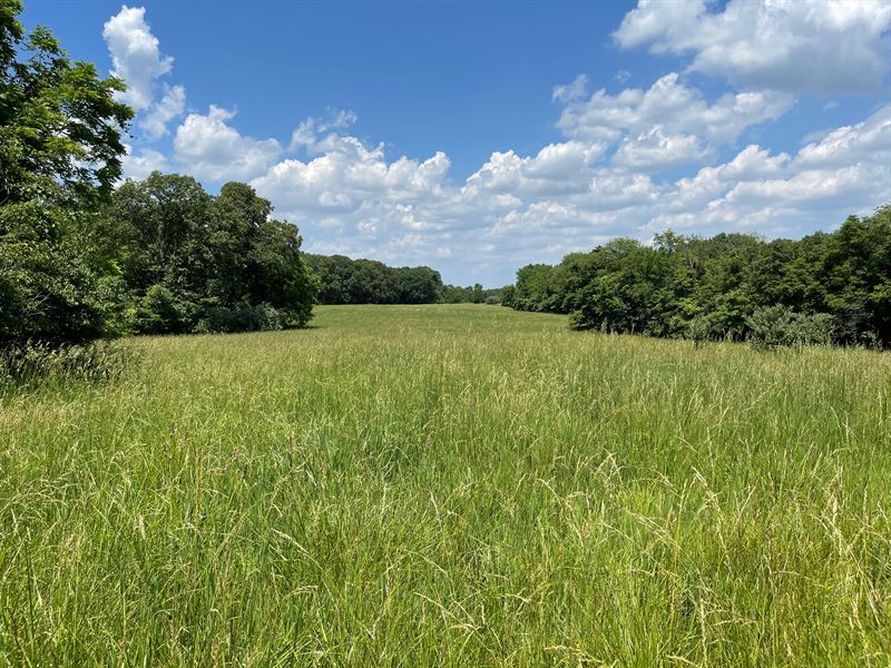 Secluded Recreational Farm : Grafton : Jersey County : Illinois