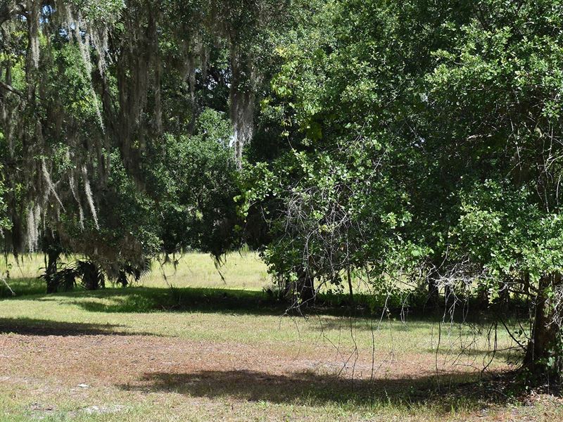 Dubois South Lakeland Acreage : Lakeland : Polk County : Florida