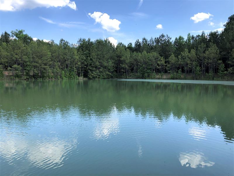Timberland Investment & Recreat : Jeffersonville : Twiggs County : Georgia