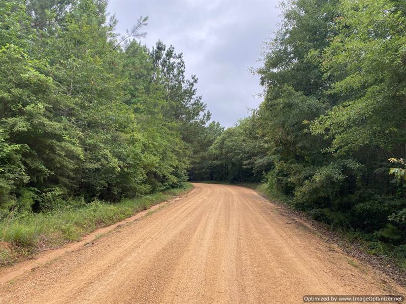 Hunting Land in Franklin County, MS : McCall Creek : Franklin County : Mississippi