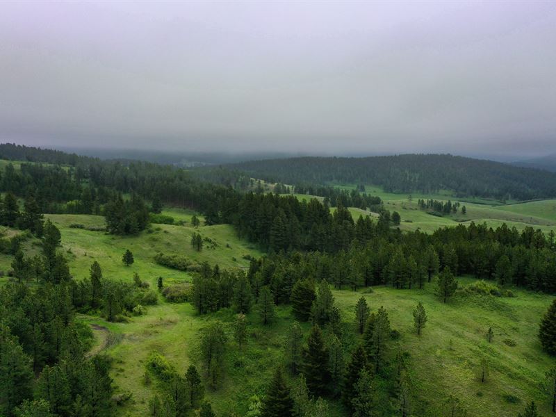 Nhn Ruby Gulch : Lewistown : Fergus County : Montana