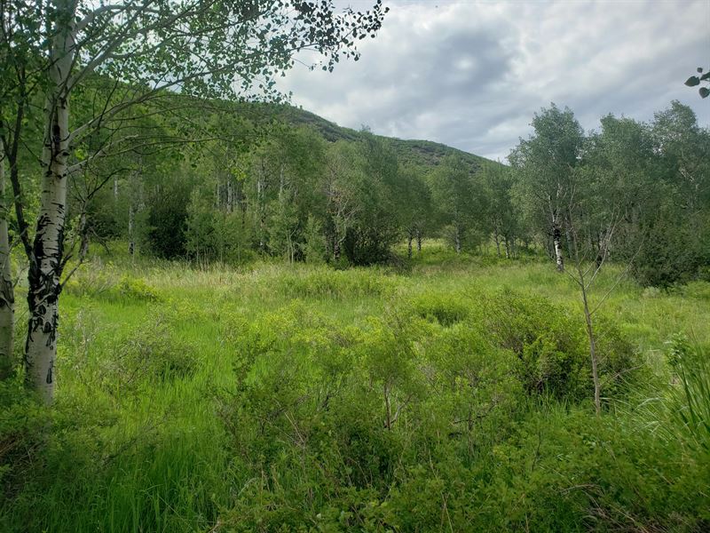 Oak Creek Station : Oak Creek : Routt County : Colorado