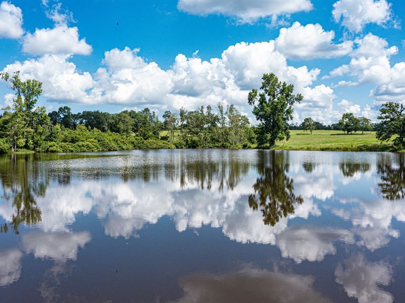 Turn-Key Cattle Ranch : Milledgeville : Baldwin County : Georgia