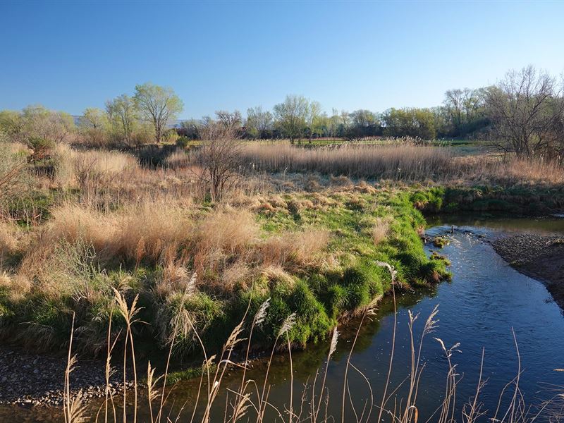 Dalia Road Farm : Olathe : Montrose County : Colorado