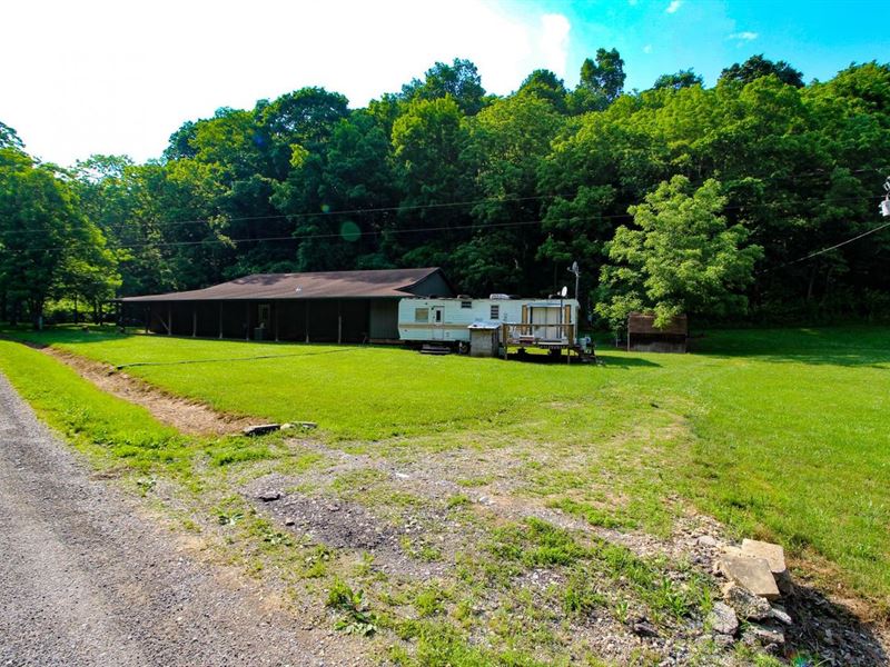 Cat Run Rd, 19 Acres, Monroe Coun : Beallsville : Monroe County : Ohio