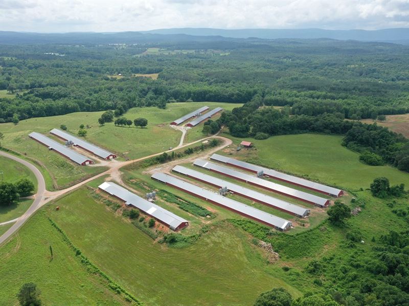 Mt. Moriah Farm : Deta : Clay County : Alabama