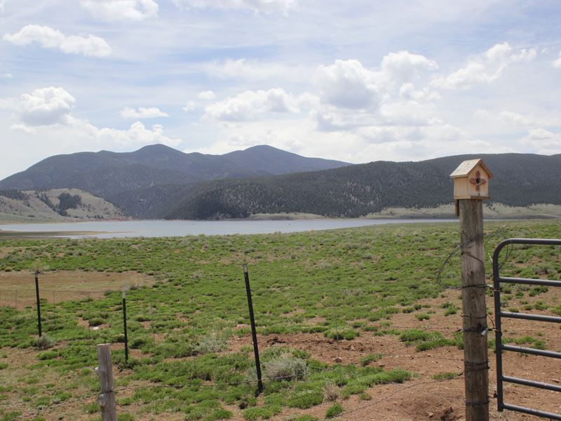 Alpaca Ranch for Sale : Eagle Nest : Colfax County : New Mexico