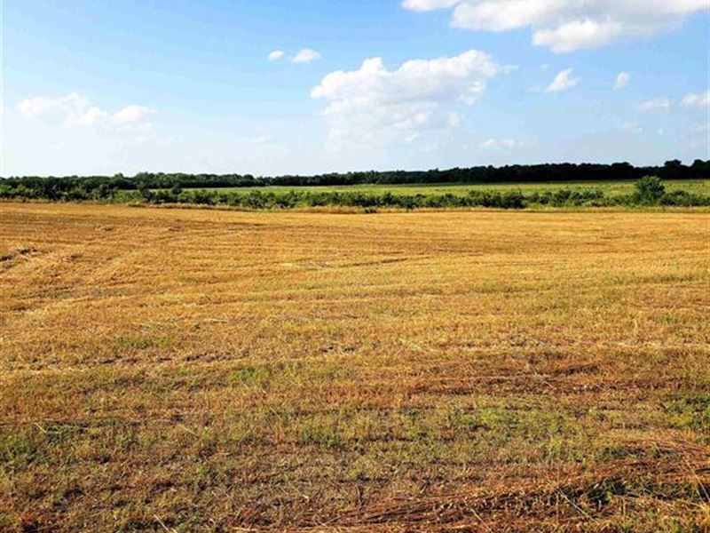 Farm & Ranch Land for Sale : Paris : Lamar County : Texas