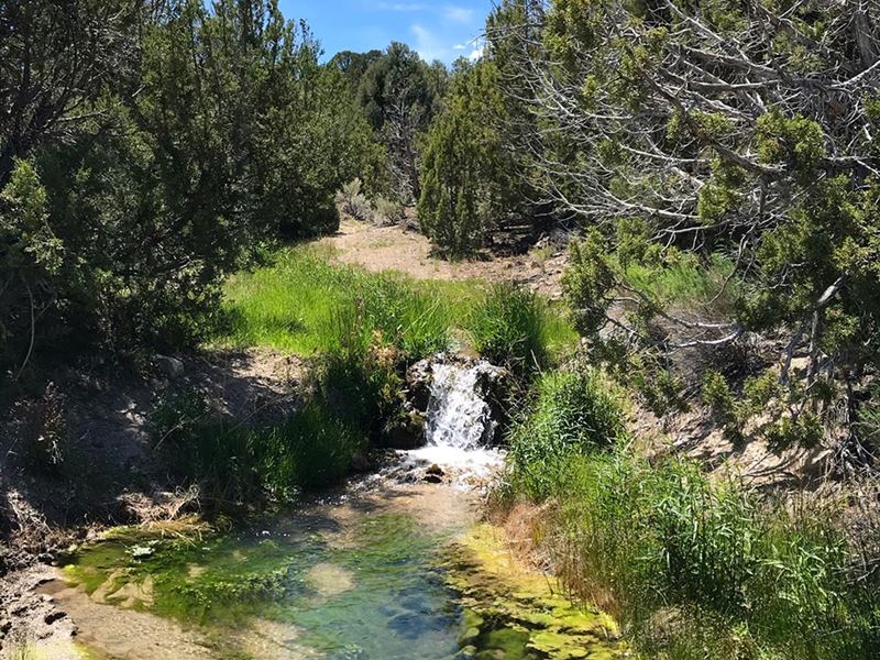Hat Springs Ranch : Malta : Cassia County : Idaho