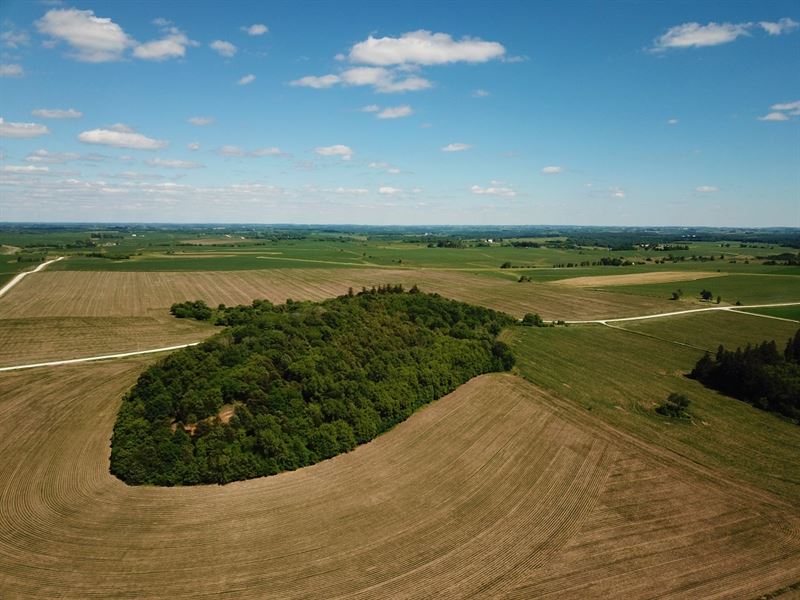 11 Acres Fillmore County, MN : Lanesboro : Fillmore County : Minnesota