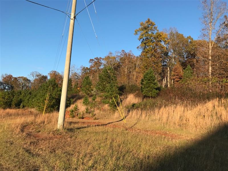 57 Acre Wooded Hunting / Camp Tract : Odenville : Saint Clair County : Alabama