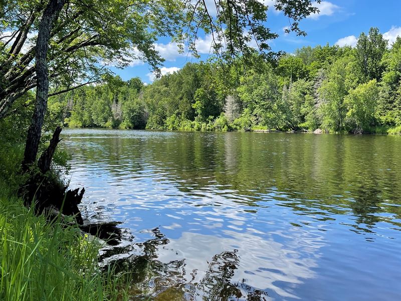 Paint River South, Gov't Lot 8 : Crystal Falls : Iron County : Michigan