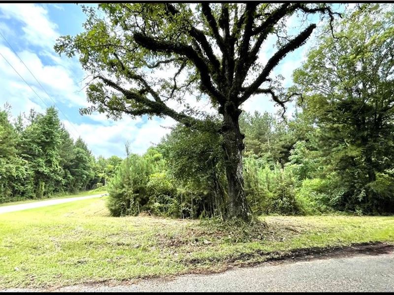 20.91 Acres in Lincoln County in Br : Brookhaven : Lincoln County : Mississippi