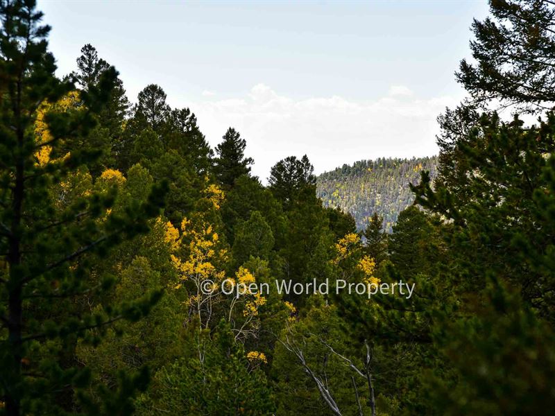 Private Mountain Retreat : San Luis : Costilla County : Colorado