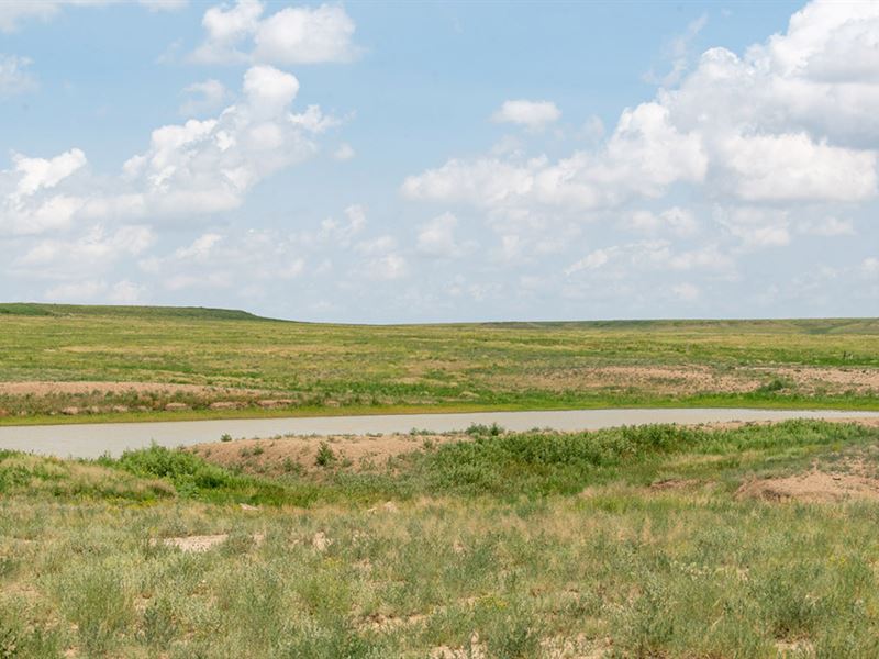 Stavely Ranch : Haswell : Kiowa County : Colorado