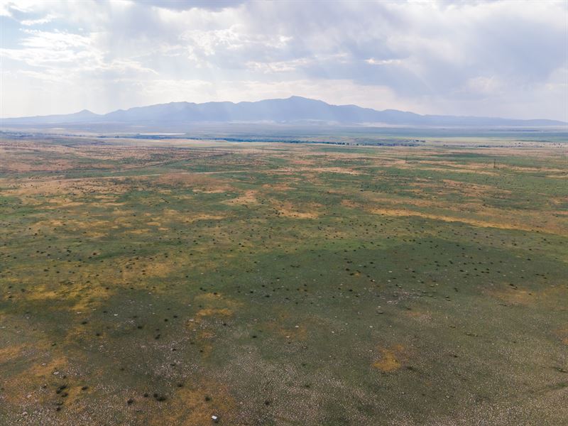 Fertile Ranch Land, Cell Service : Walsenburg : Huerfano County : Colorado