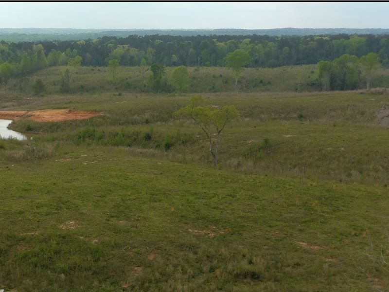 129 Acres in Simpson County in Mend : Mendenhall : Simpson County : Mississippi
