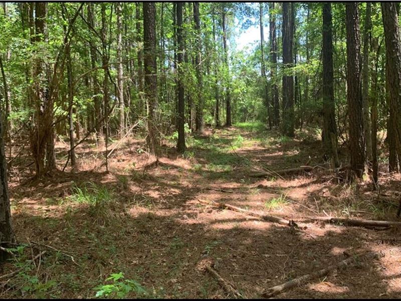 38.53 Acres in Lincoln County in Bo : Bogue Chitto : Lincoln County : Mississippi
