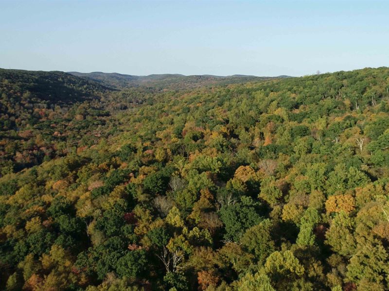 Incredibly Rare Putnam Valley Land : Putnam Valley : Putnam County : New York