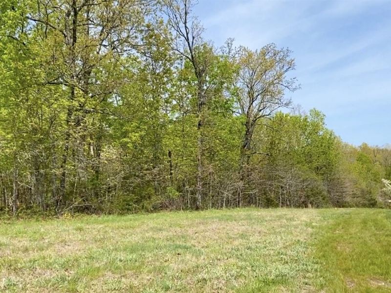 Two Tracts Totaling 26 Acres : Rolla : Pulaski County : Missouri