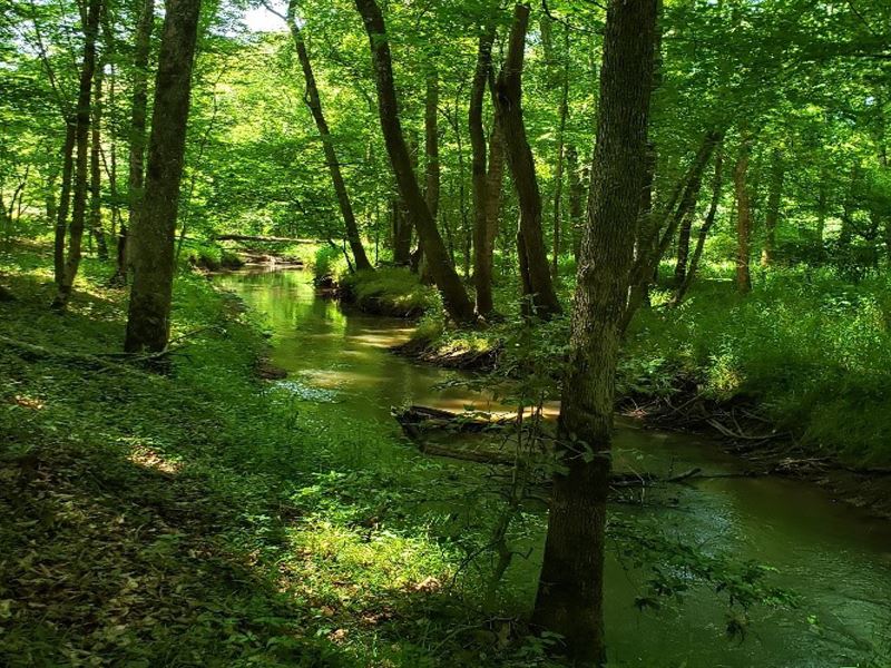 Little River Woods : Clinton : Laurens County : South Carolina