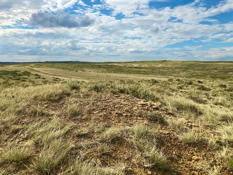640 Acre Parcel Near Roundup, MT : Musselshell : Musselshell County : Montana