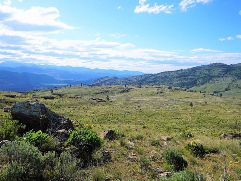 Picture Perfect Property : Malott : Okanogan County : Washington