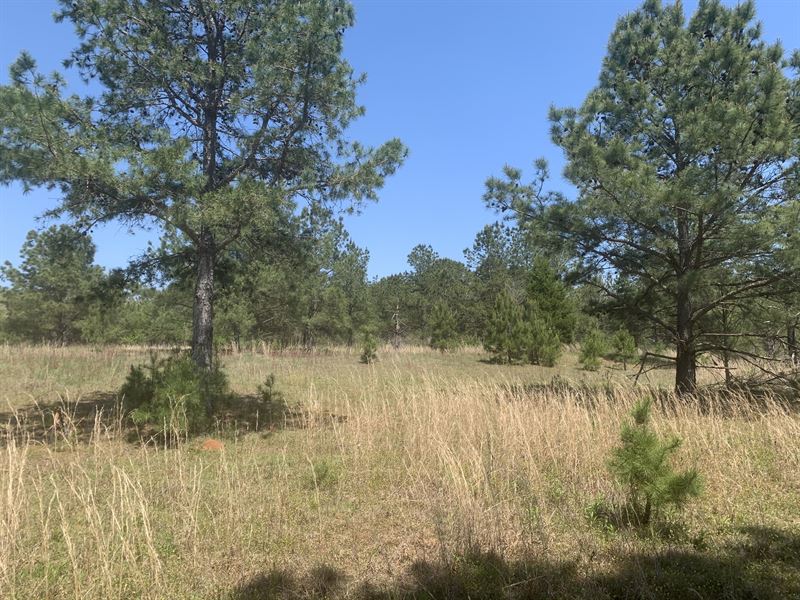 The Perfect Getaway Place : Opp : Covington County : Alabama