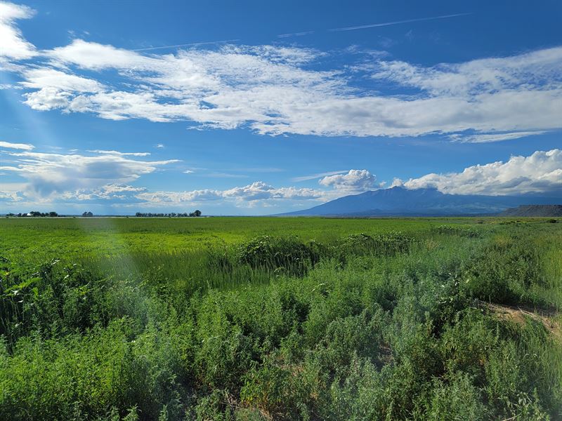 Spectacular Colorado Countryside : Fort Garland : Costilla County : Colorado