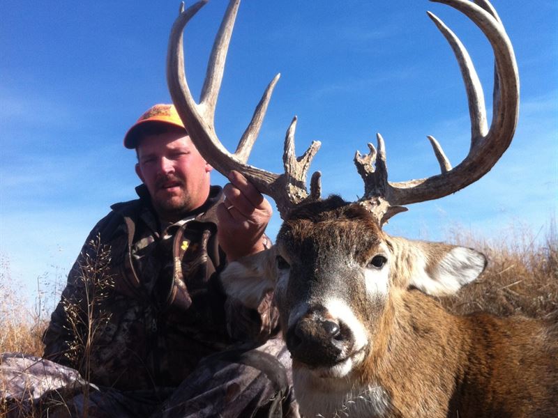 Big Buck 240 : Coats : Pratt County : Kansas