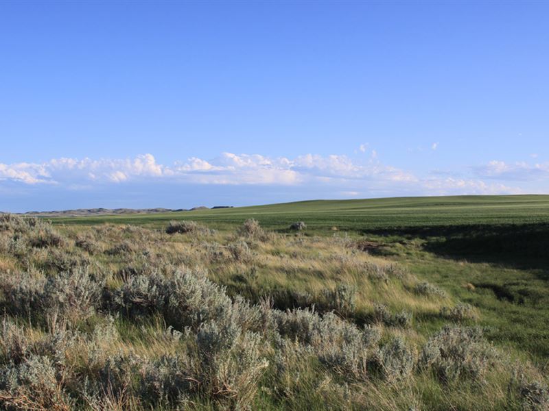 Long Branch Farm : Jordan : Garfield County : Montana