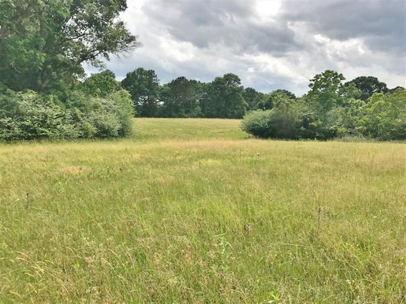 33 Acres-Dufrene Lane : Tylertown : Walthall County : Mississippi