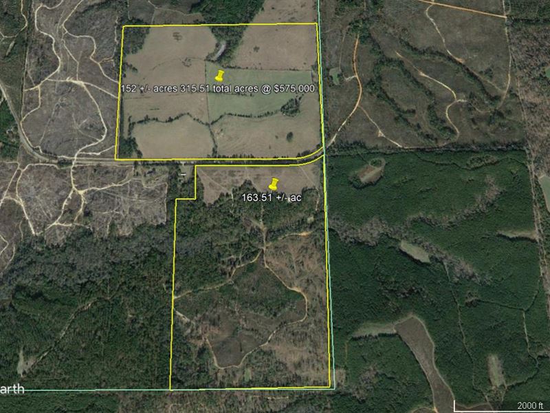 Fenced Pastureland and Timber : Morris : Quitman County : Georgia