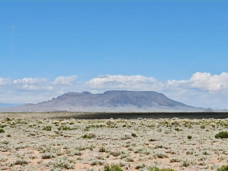 Camp On Your 15 Acre Beauty : San Acacio : Costilla County : Colorado