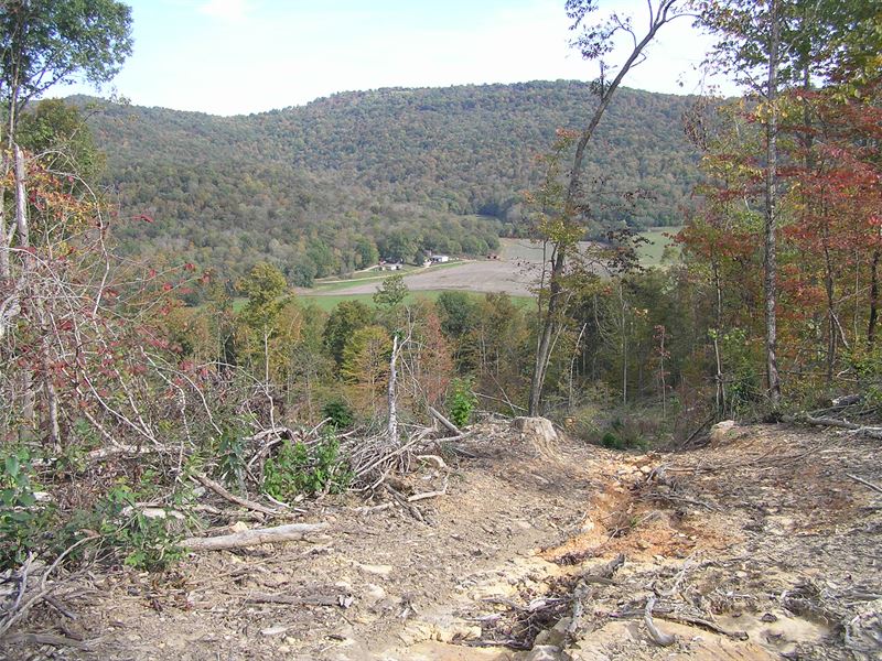 Unrestricted Mountain Land, Views : Beersheba Springs : Grundy County : Tennessee