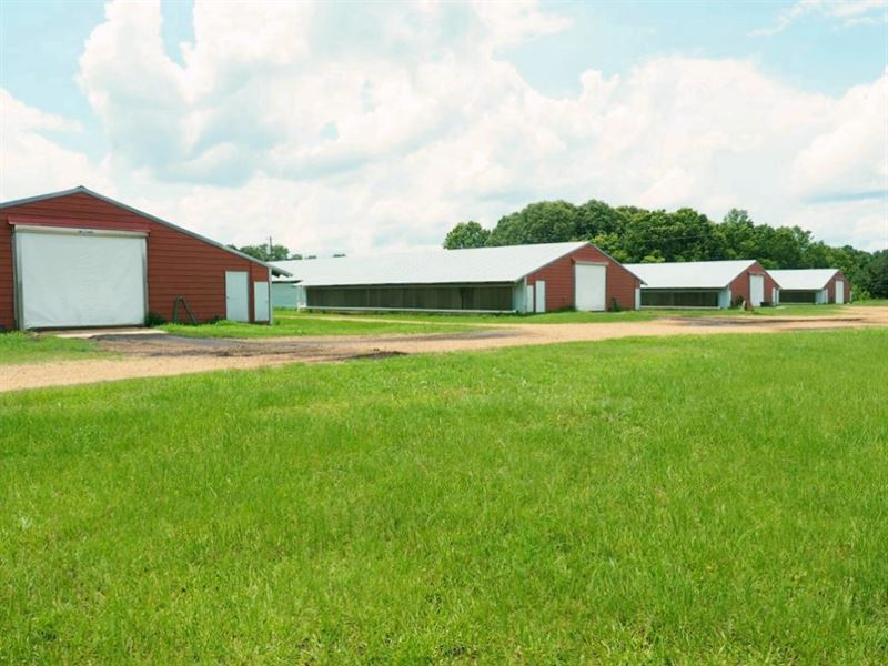 4 House Broiler Poultry Farm for Sa : Bogue Chitto : Lincoln County : Mississippi